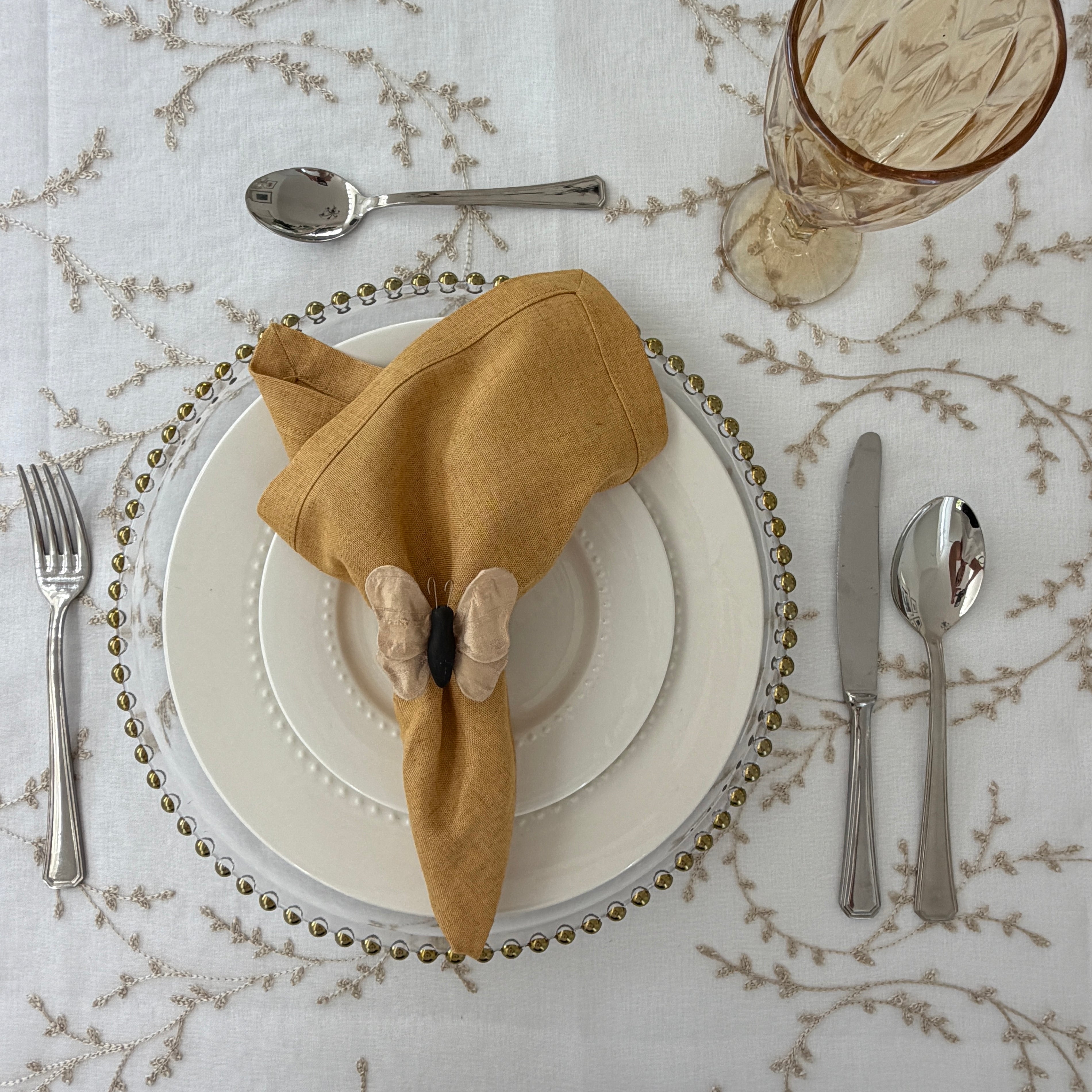 Plato de sitio transparentes