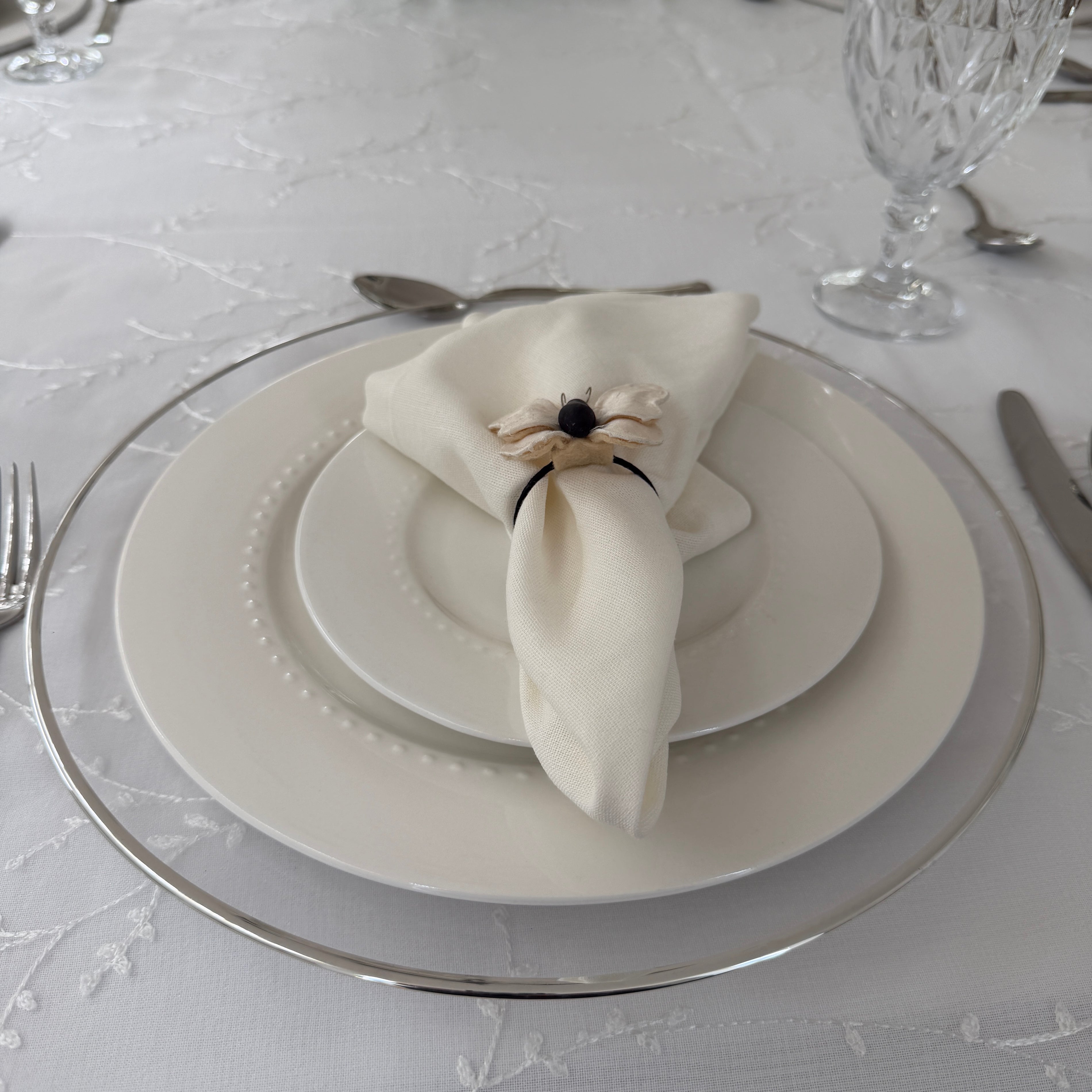 Plato de sitio transparentes