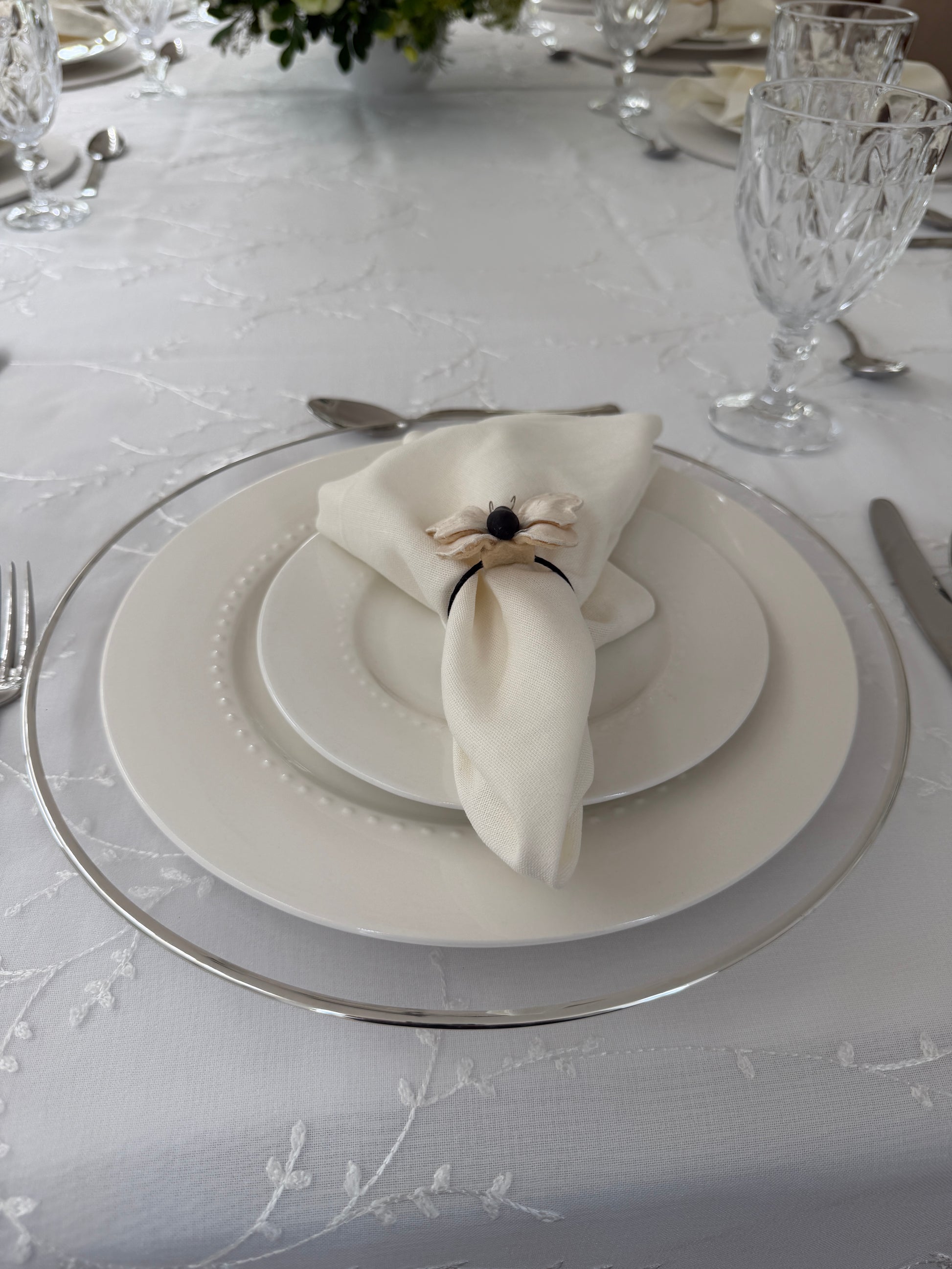Plato de sitio transparentes